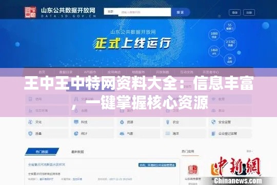 王中王中特网资料大全:信息丰富,一键掌握核心资源