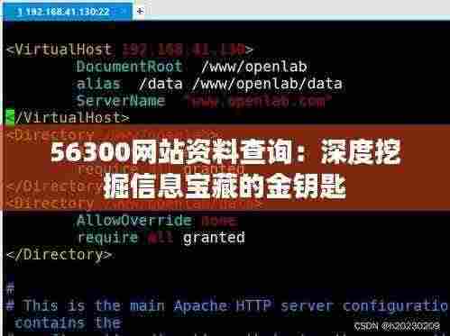 56300网站资料查询:深度挖掘信息宝藏的金钥匙