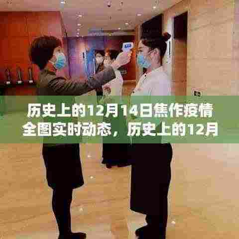 历史上的12月14日焦作疫情全图实时动态,深度评测与全面介绍