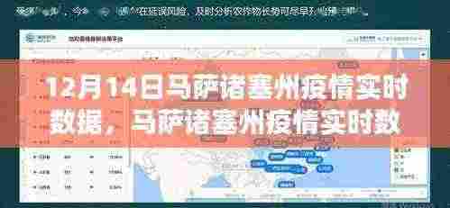 马萨诸塞州疫情实时报告,十二月十四日关键进展数据概览