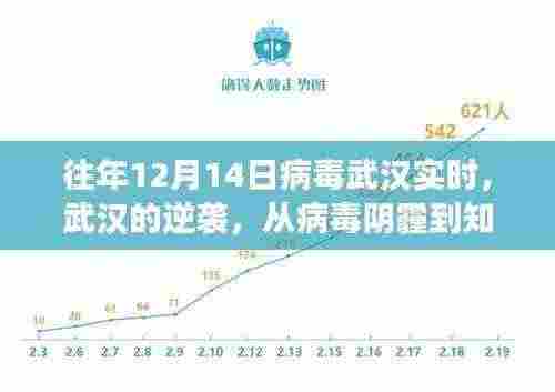 武汉逆袭之路，从病毒阴霾到知识之光，成长与自信的旅程