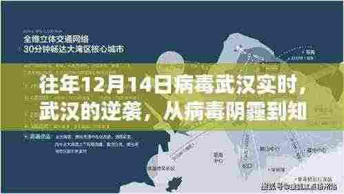武汉逆袭之路,从病毒阴霾到知识之光,成长与自信的旅程