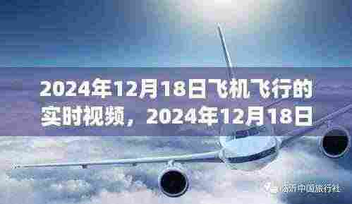 探索空中之旅,实时观看飞机飞行体验