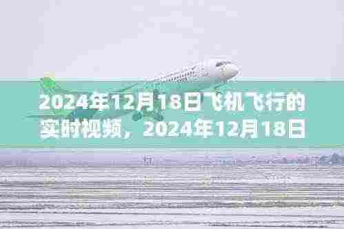 探索空中之旅,实时观看飞机飞行体验
