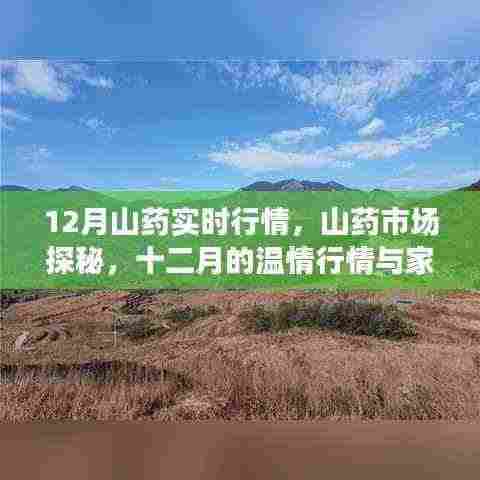 十二月山药市场探秘,温情行情与家的味道实时行情解析