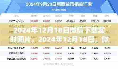 微信下载实时图片,寻找内心平静的绿色之旅纪实分享