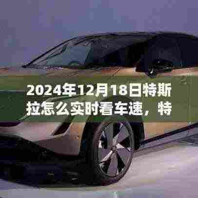 特斯拉实时车速监控指南,掌握速度与激情,2024年更新版(特斯拉车主必备指南)