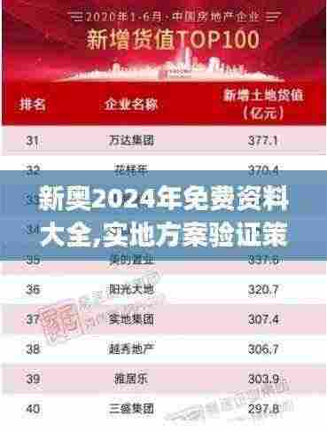 新奥2024年免费资料大全,实地方案验证策略_KP2.184