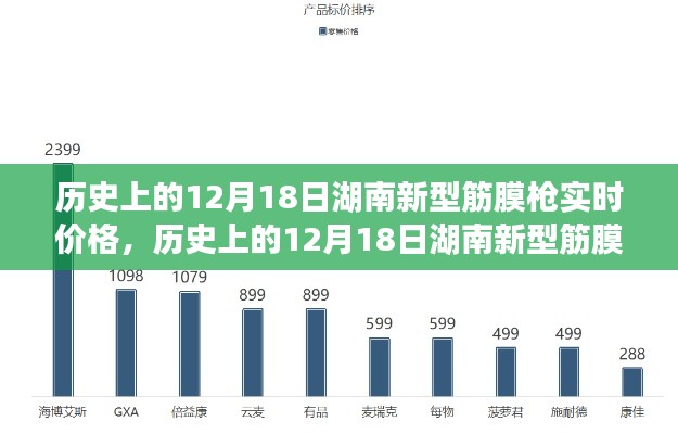 湖南新型筋膜枪实时价格解析,历史12月18日市场动态及购买指南(初学者与进阶用户必看)