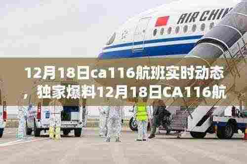 独家揭秘,12月18日CA116航班实时动态,温暖归途全程追踪报道