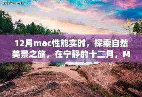 12月Mac性能实时,探索自然美景,心灵宁静之旅
