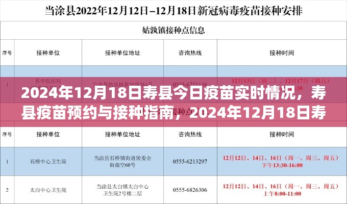 寿县疫苗实时情况更新,预约与接种指南,2024年12月18日