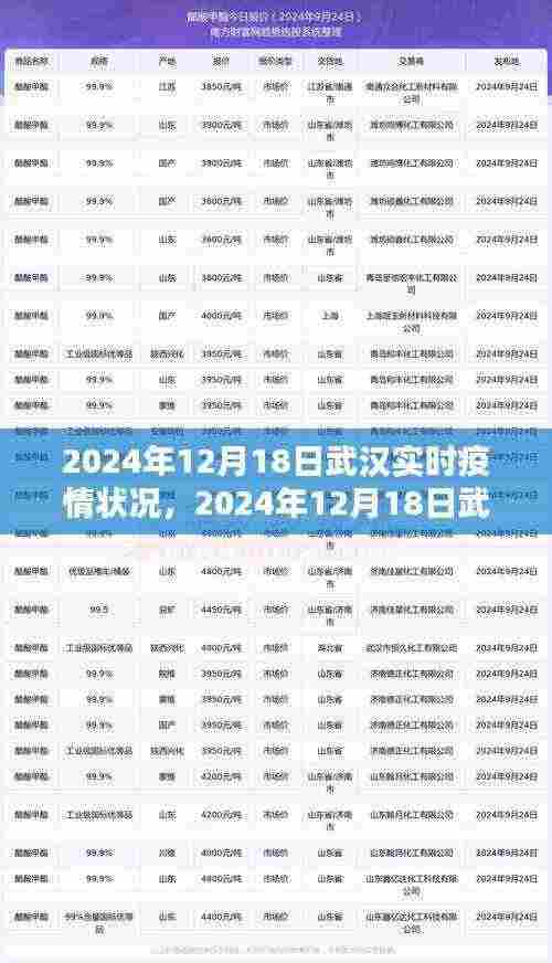 深度解析,武汉实时疫情状况(截至2024年12月18日)