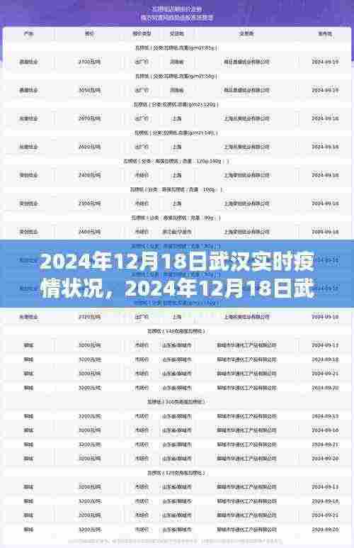 深度解析,武汉实时疫情状况(截至2024年12月18日)