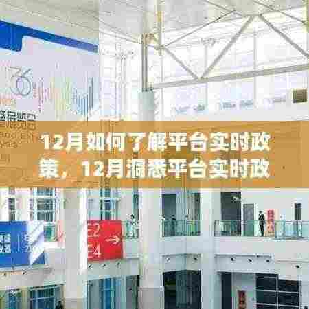 深度解读与观点碰撞,12月洞悉平台实时政策详解