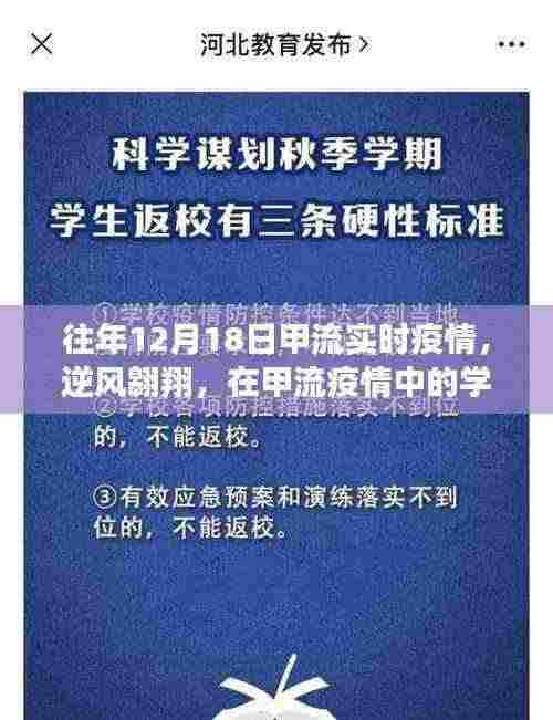 甲流疫情下的逆风翱翔,学习之旅与实时疫情回顾