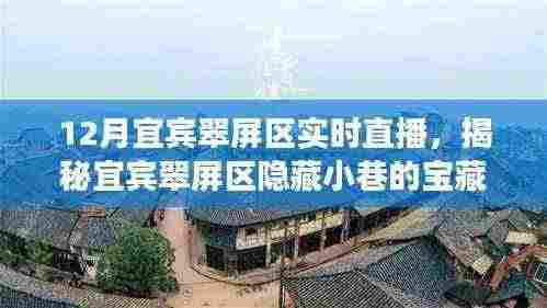 宜宾翠屏区宝藏小店实时直播盛宴，探寻隐藏小巷的特色魅力