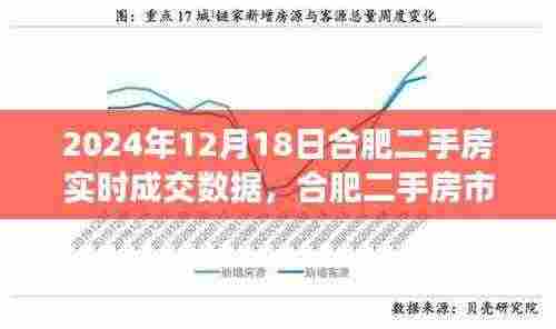 合肥二手房市场脉动,2024年12月18日实时成交数据洞察