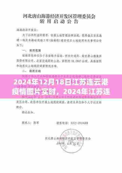 2024年江苏连云港疫情最新动态,实时图片与深度报道