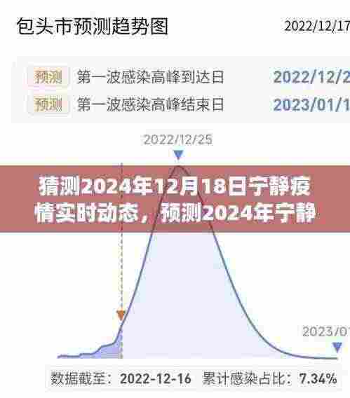 2024年宁静疫情实时动态预测，未来走向分析与应对策略探讨