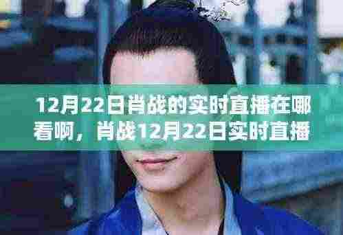 肖战12月22日直播观看指南,实时直播、全面评测与深度分析