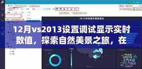 探索调试魔法,在Visual Studio 2013中实时显示数值与自然美景之旅