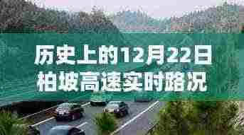 母以子贵 第5页