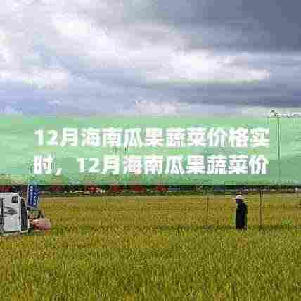 12月海南瓜果蔬菜价格实时更新,季节性波动与市场动态深度解析