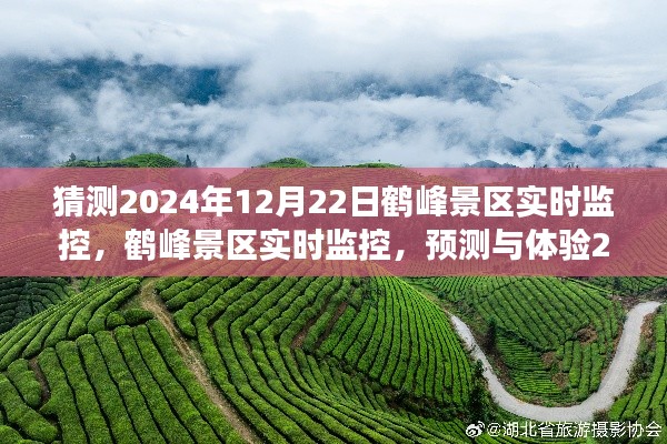 鹤峰景区未来之旅，实时监控预测与体验展望，鹤峰景区未来之旅猜想实录