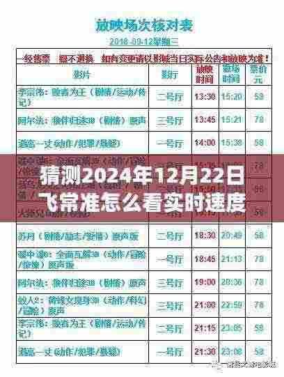 飞常准2024年12月22日实时速度查看攻略,零基础操作指南