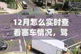 冬季实时塞车查看指南，驾驭路况变化，自信前行学习与成长之旅
