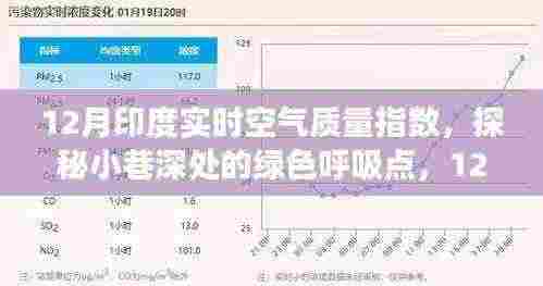 探秘印度小巷深处的绿色呼吸点与特色小店之旅，实时空气质量指数下的印度十二月之旅