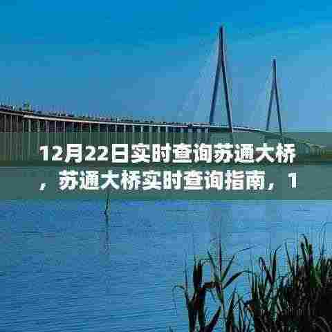 12月22日苏通大桥实时交通查询指南,初学者与进阶用户适用