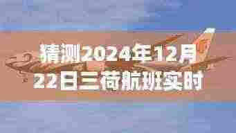 揭秘未来之旅,预测三荷航班在2024年12月22日的实时查询体验。