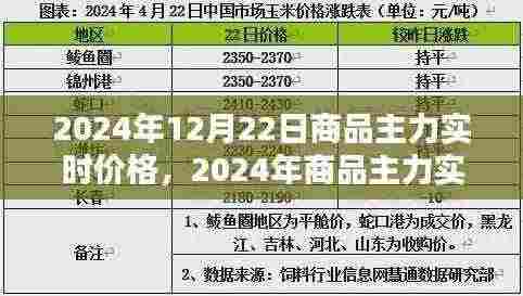观点解析,2024年商品主力实时价格探析及实时价格阐述