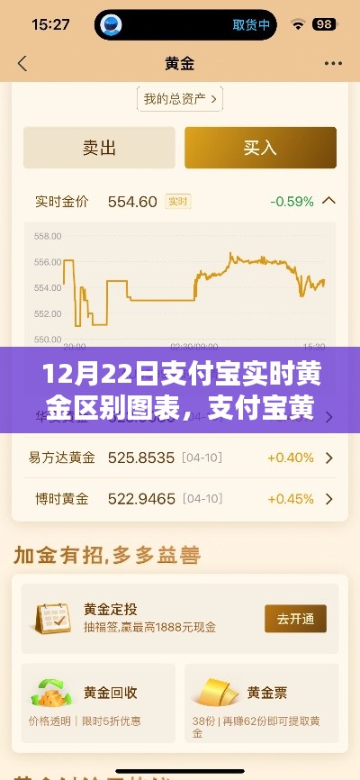支付宝黄金图表解析,暖心日常与黄金之约的动态变化