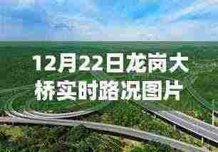 龙岗大桥实时路况与智能系统，开启智能交通新纪元