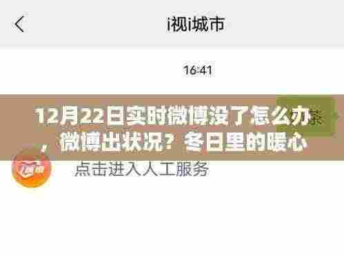 微博冬日故障，暖心小插曲与实时微博缺失之谜