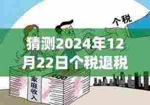 个税退税实时监控查询的学习之旅，把握未来，技能成就梦想，预测至2024年12月的新变化解析