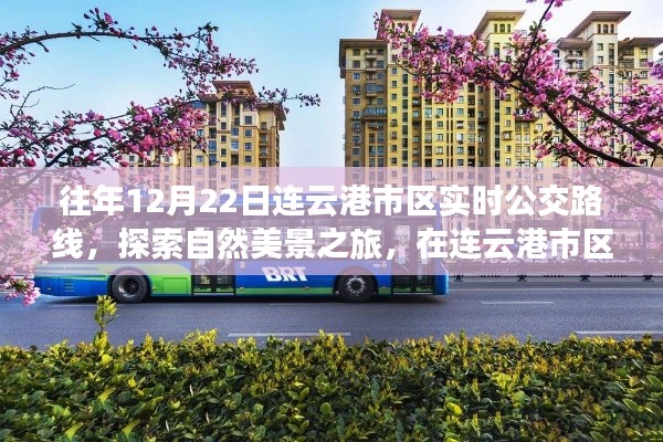 探索连云港市区自然美景之旅,公交路线与内心宁静的喜悦体验