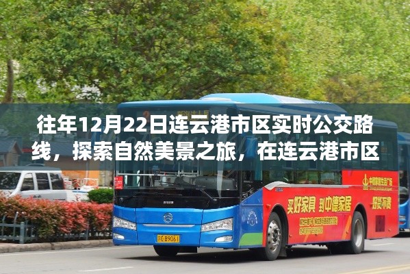 探索连云港市区自然美景之旅,公交路线与内心宁静的喜悦体验