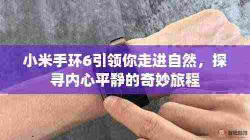 小米手环6,引领自然之旅,探寻内心平静的奇妙体验