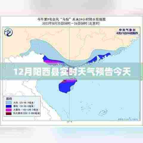 阳西今日天气实时播报