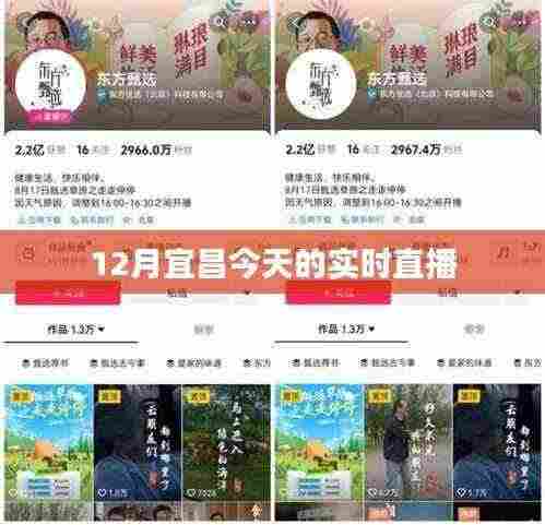 宜昌今日直播实况报道