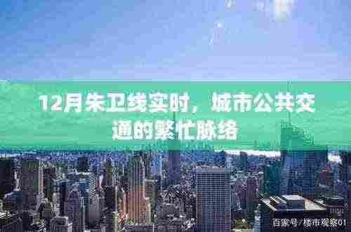 朱卫线实时动态,城市公交繁忙脉络解析