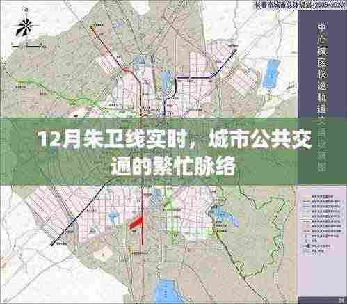 朱卫线实时动态,城市公交繁忙脉络解析