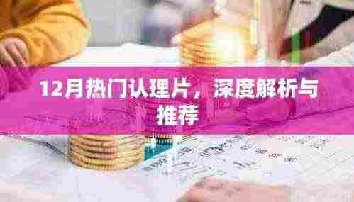 12月热门认理片深度解析与推荐