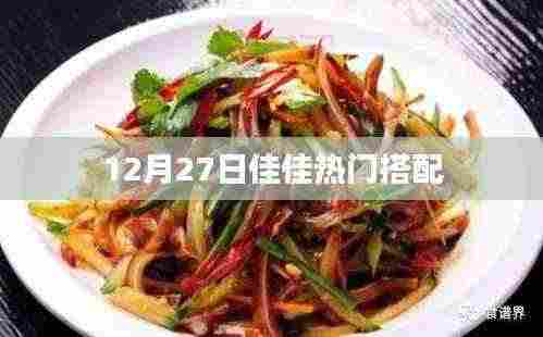 最新佳佳时尚搭配,12月27日潮流之选