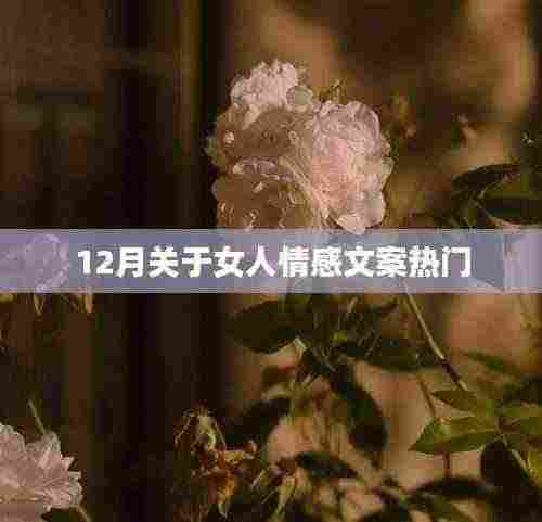 女人情感世界,12月热门话题解析