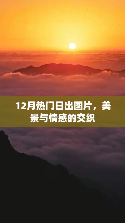 美景与情感的交织,十二月日出图片精选